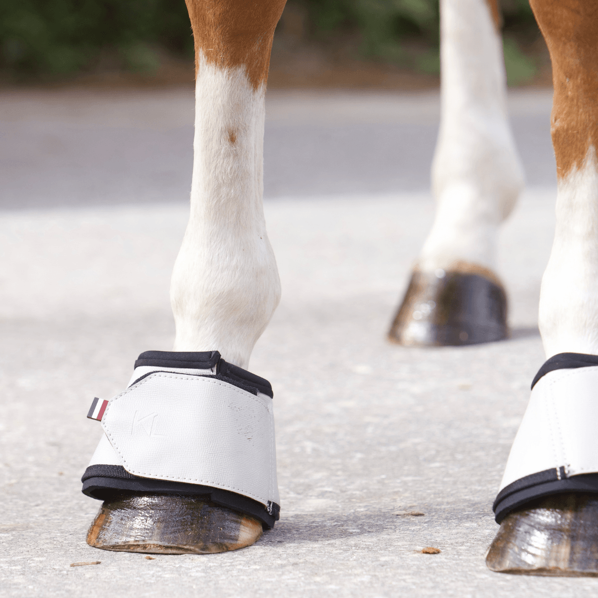 KLAurora Reflective Bell Boots