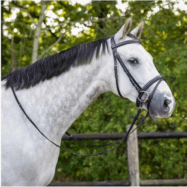 Hovedbilde QHP Bridle luxury stitched 