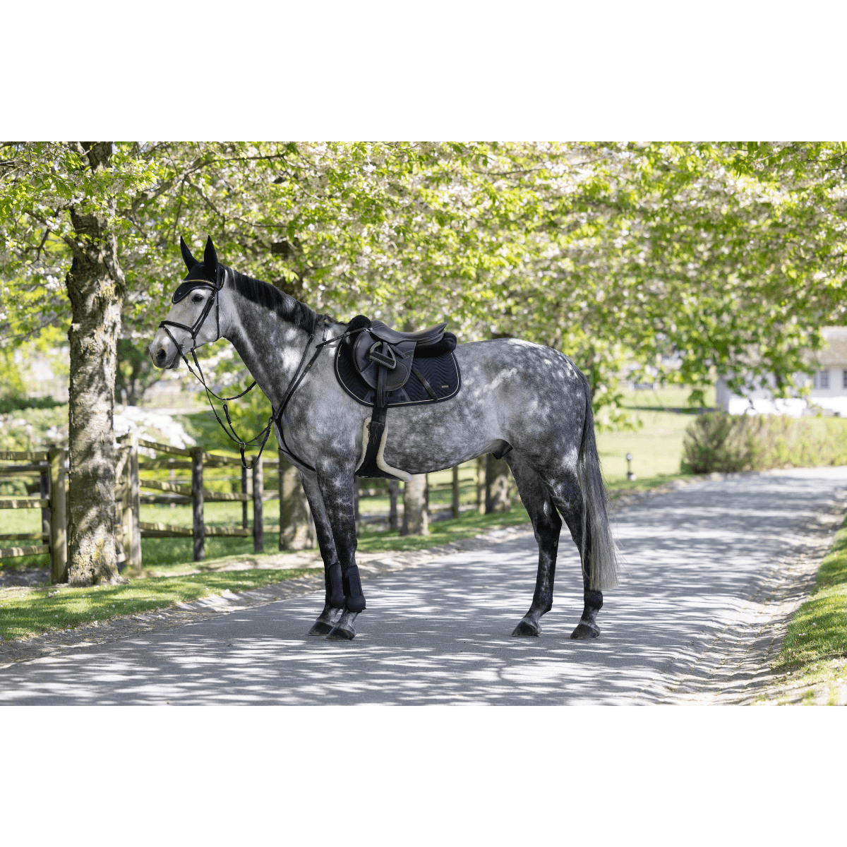 KLLucca Cooling Jumping Saddle Pad Navy