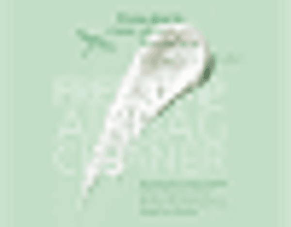 Hovedbilde Hey Airbag Cleaner