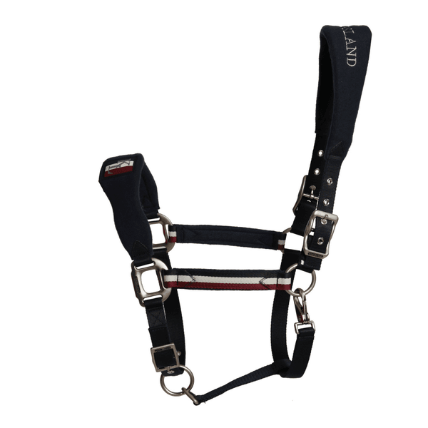 Hovedbilde Kingsland Classic Halter with Fleece 