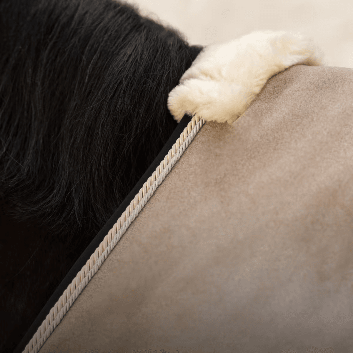 Kentucky Fleece Rug Show Vegan Wool Beige