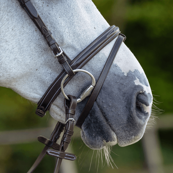 Hovedbilde QHP Bridle luxury stitched 