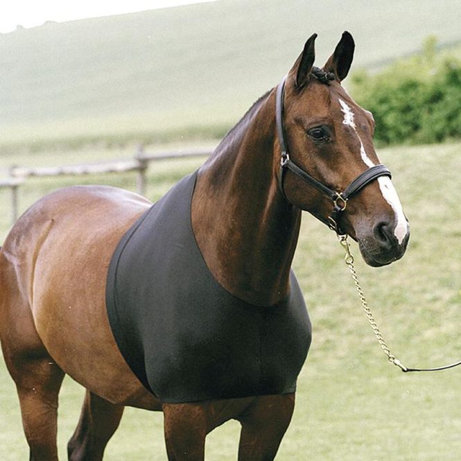 Hovedbilde HorseGuard Bogbeskytter