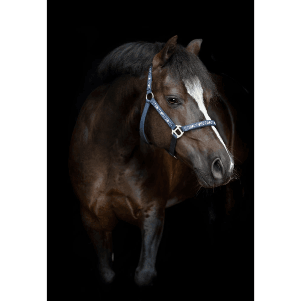 Hovedbilde Horse Guard Fantasy-grime