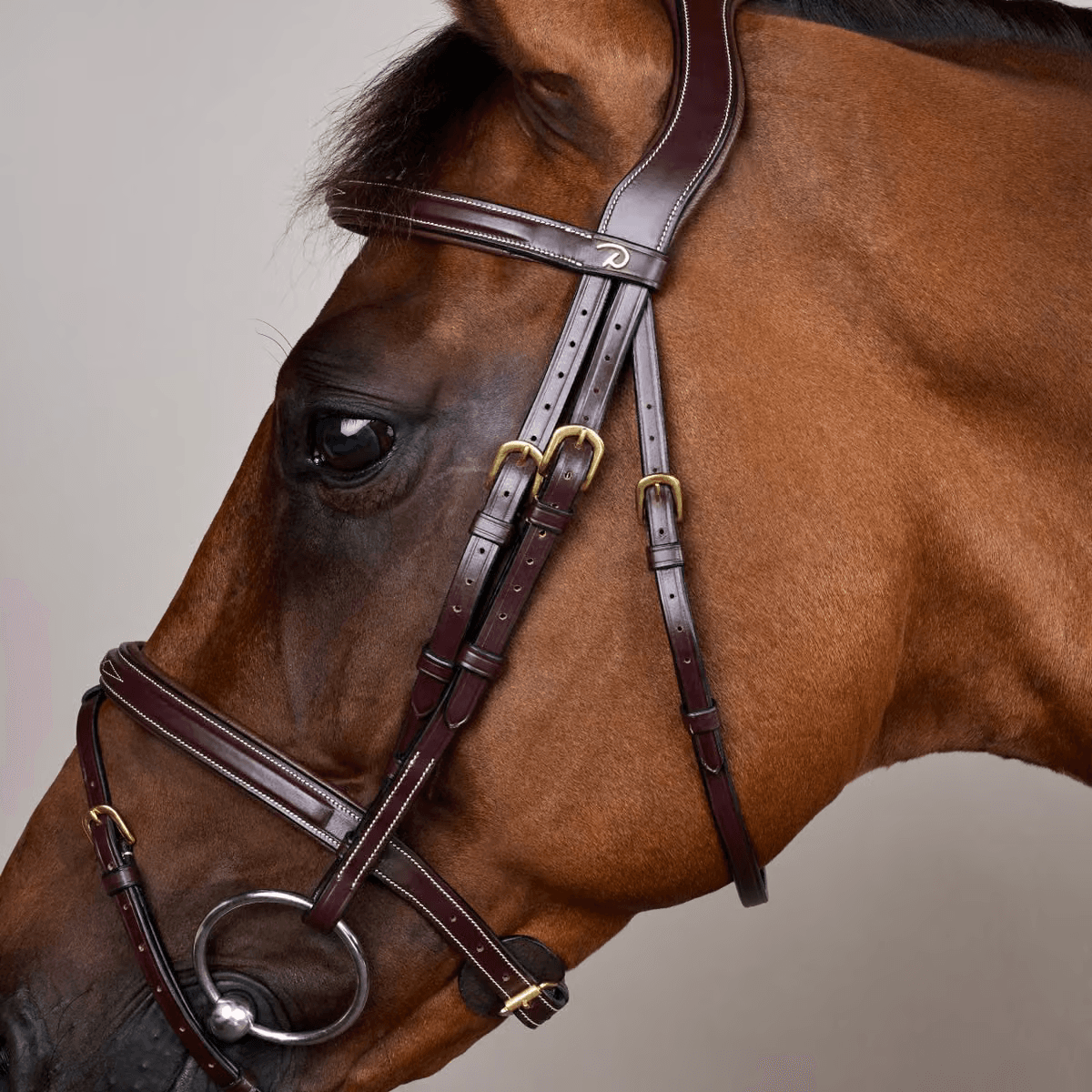 Dyon Flash Noseband Bridle Dyon DY