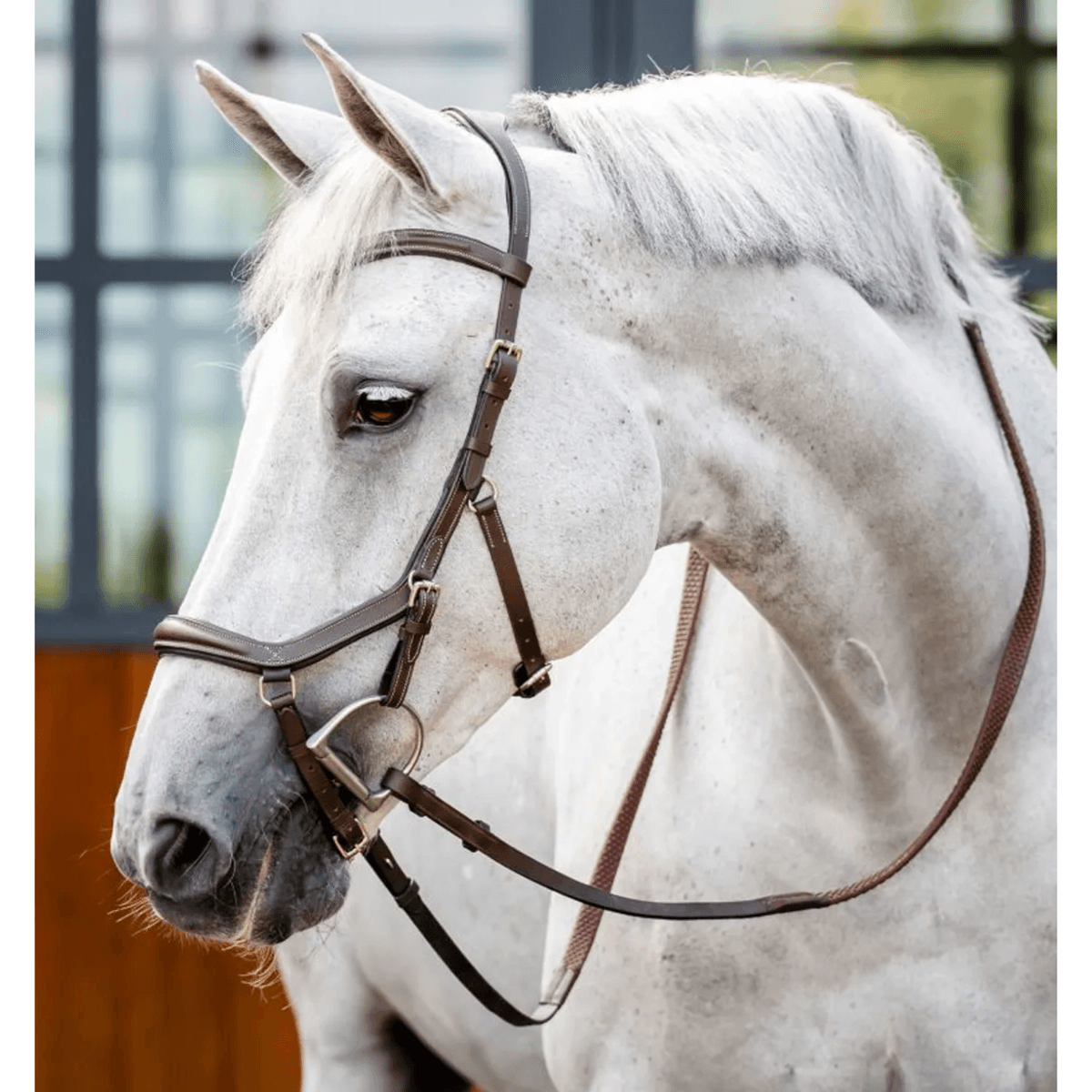 Horseware Micklem deluxe Competition 