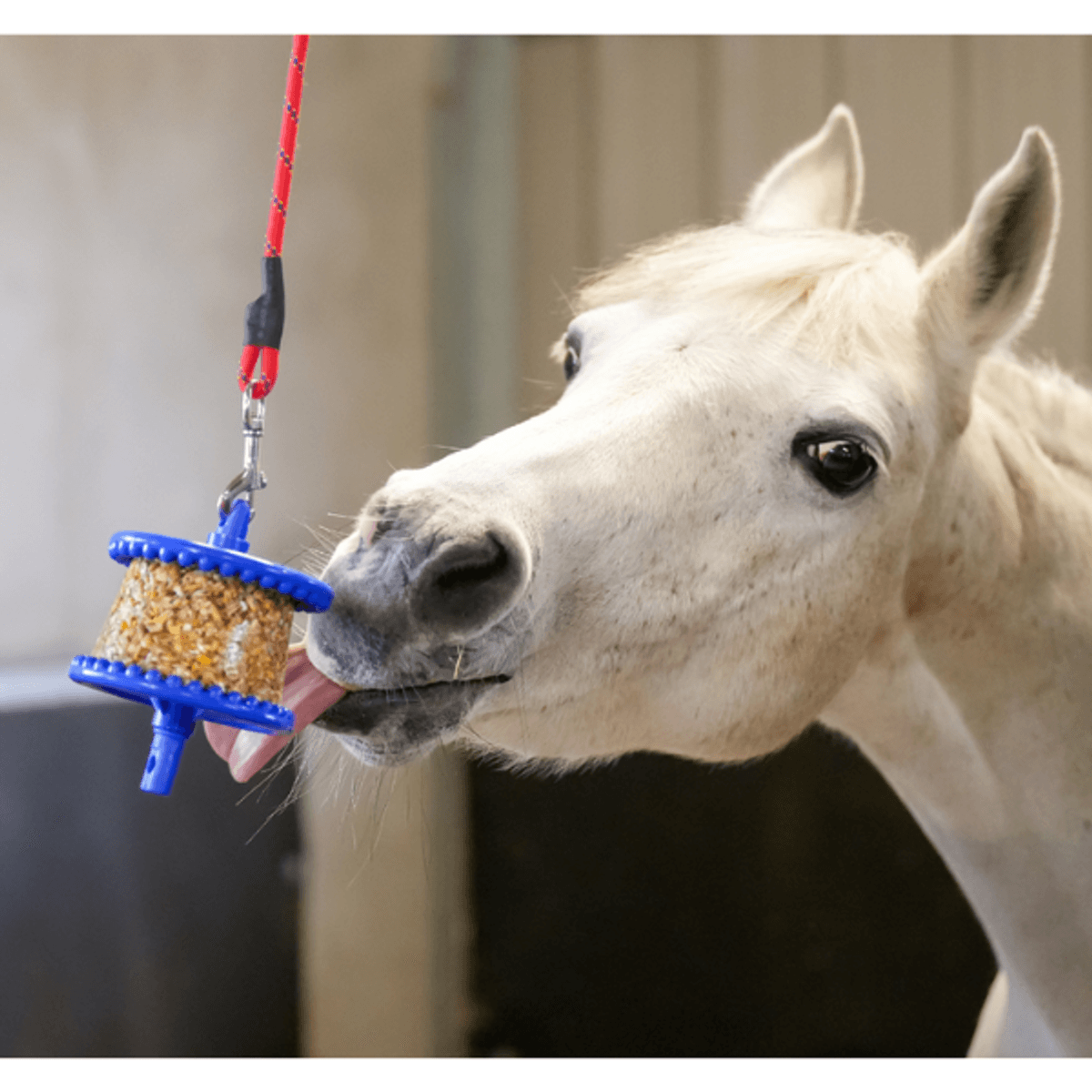 Likit Refill Granola