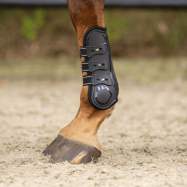 Hovedbilde QHP Tendon boots Champion