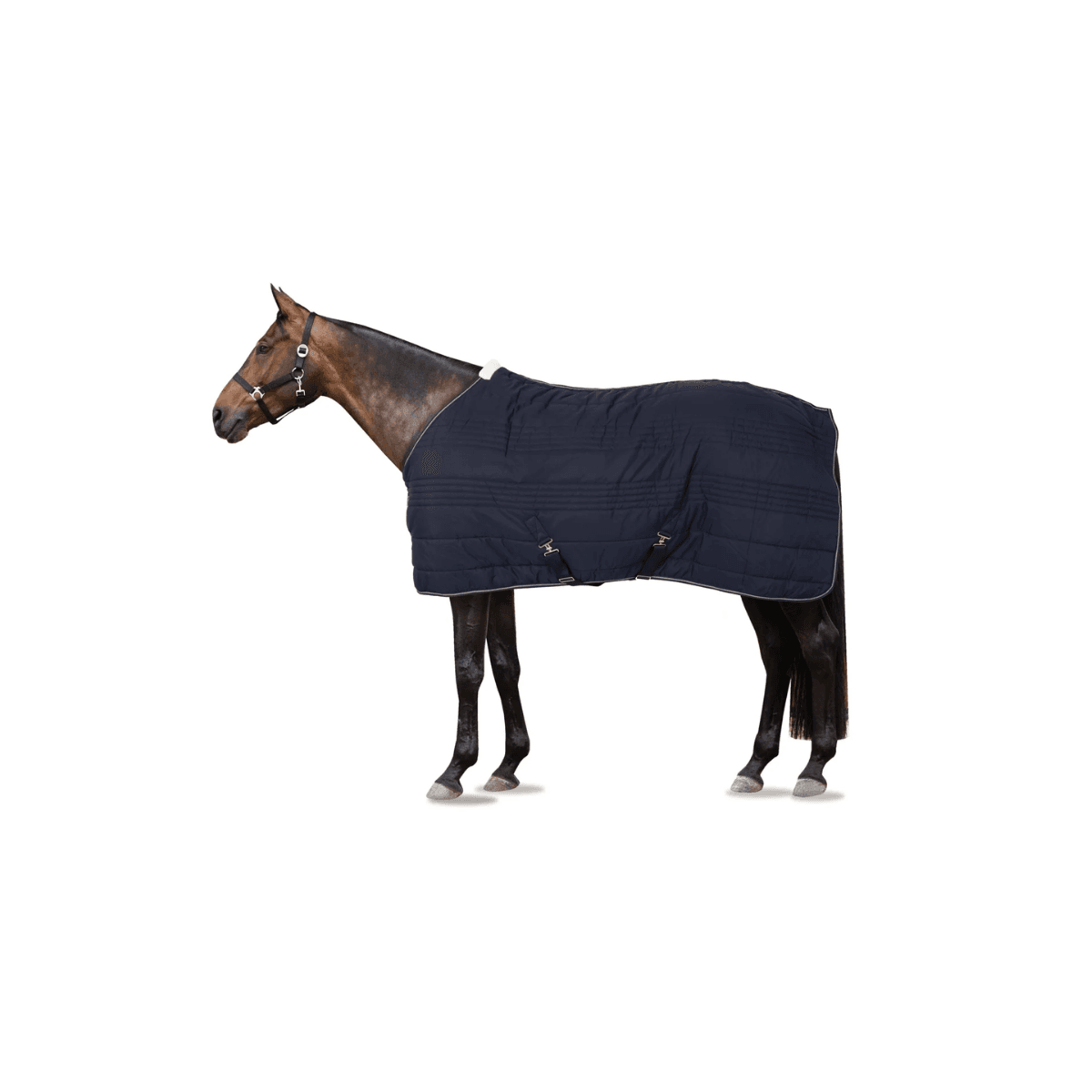 Horze Kingsley Stable Rug, 150g