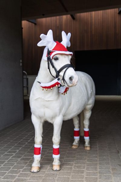 Hovedbilde HorseGuard Jule gamacher, 4 stk