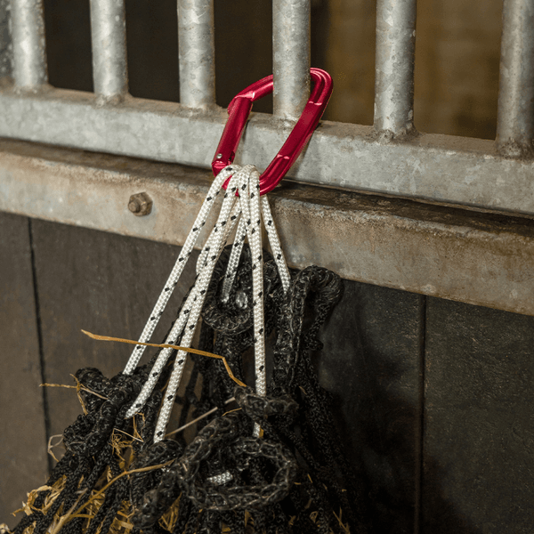 Hovedbilde QHP Carabiner