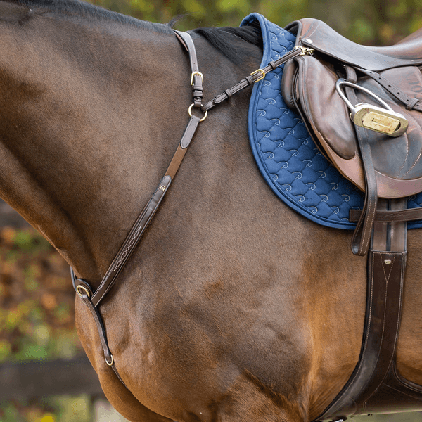 Hovedbilde Dyon Bridge Breastplate D Collection