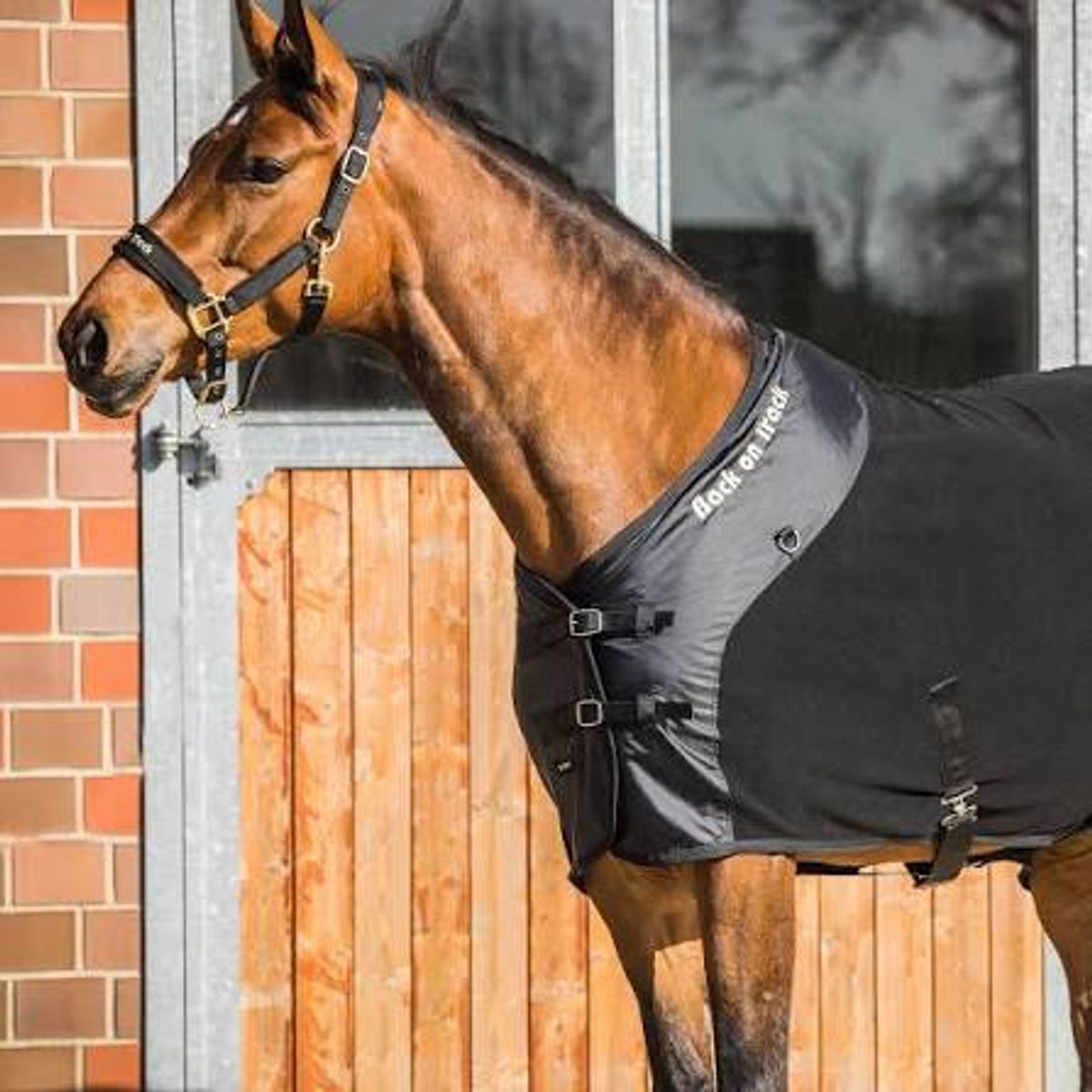 Back on Track Fleece Rug Supreme Cooler