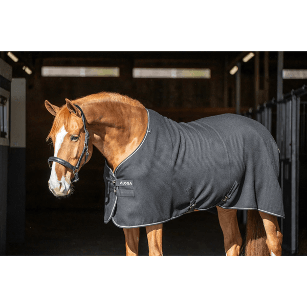 Hovedbilde Aloga Waffle Cooler
