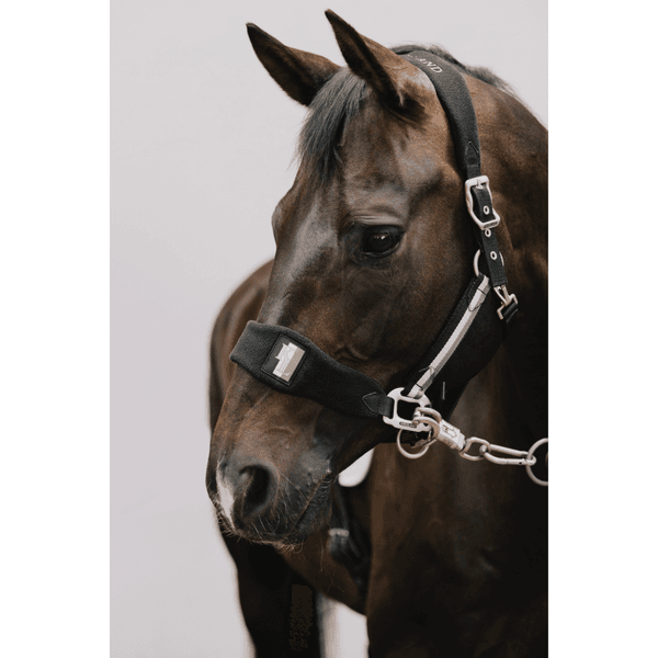 Hovedbilde Kingsland Classic Halter with Fleece 