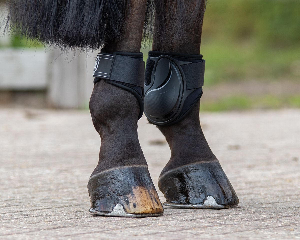 QHP Fetlock boots Champion black