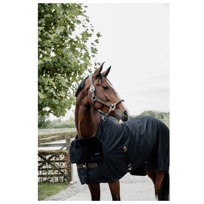 Hovedbilde Kentucky Horse BIB Chest Protection black