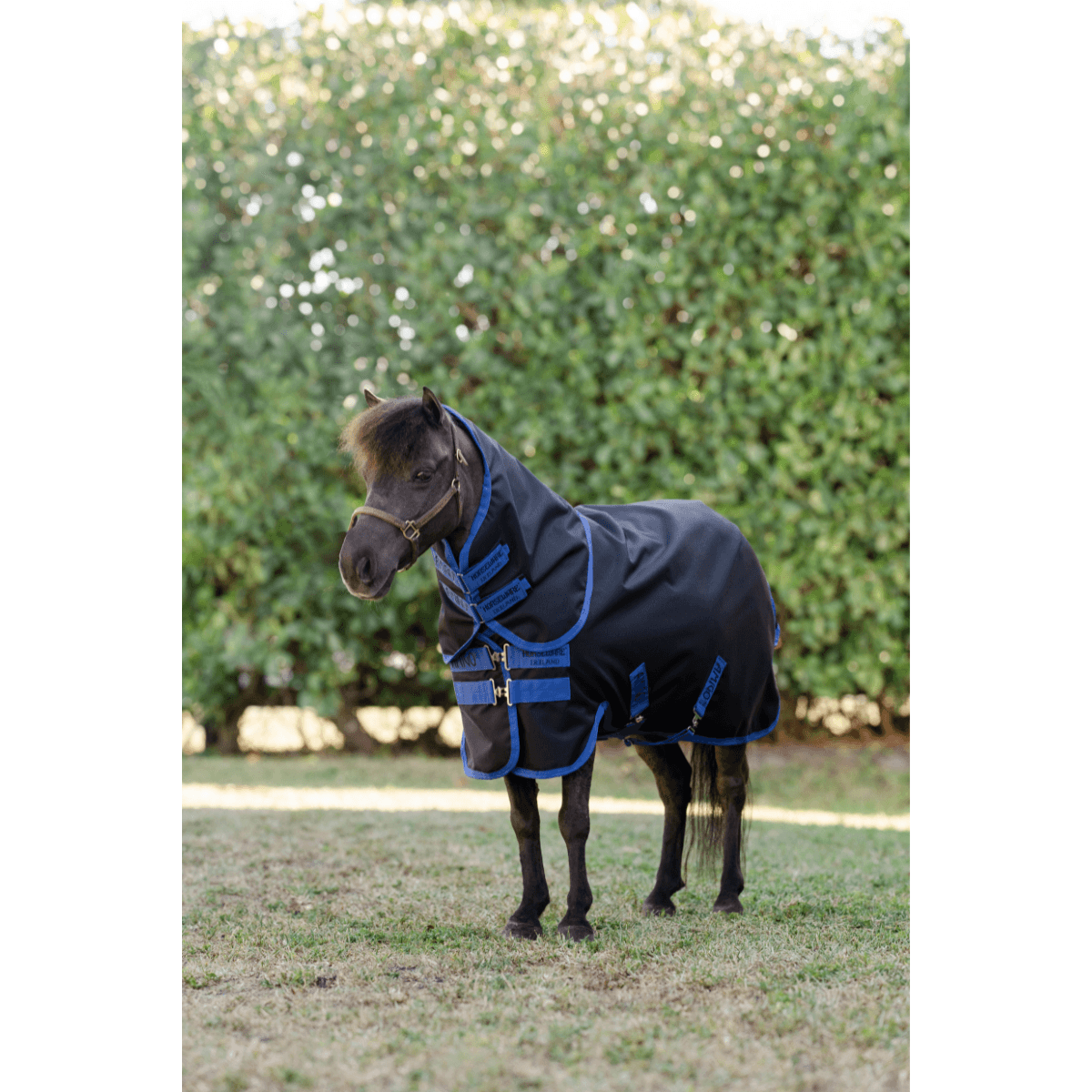 Amigo Ripstop 900D Plus Petite Turnout 200g