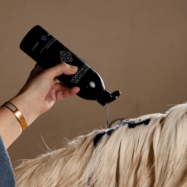 Hovedbilde Grooming Deluxe Almond Gloss Purple Shampoo