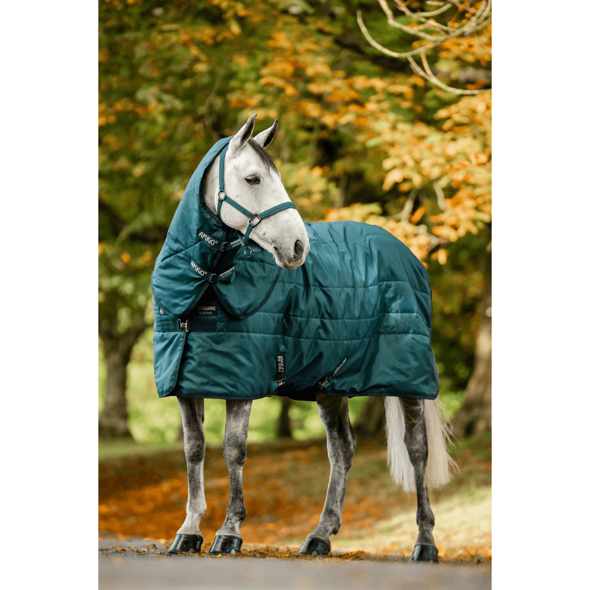 Horseware Amigo Ripstop Insulator Stable 350g ink hals