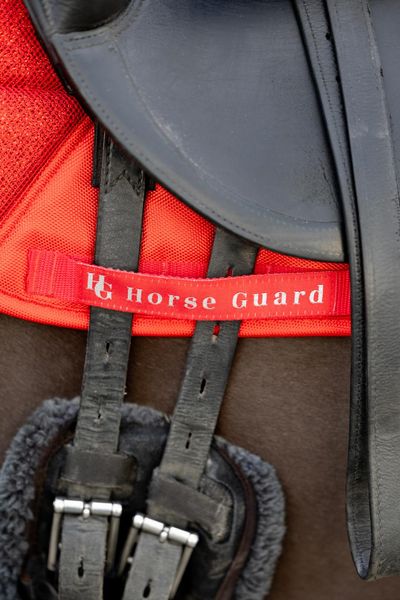 Hovedbilde HorseGuard Glitter mesh sjabrak - Dressur