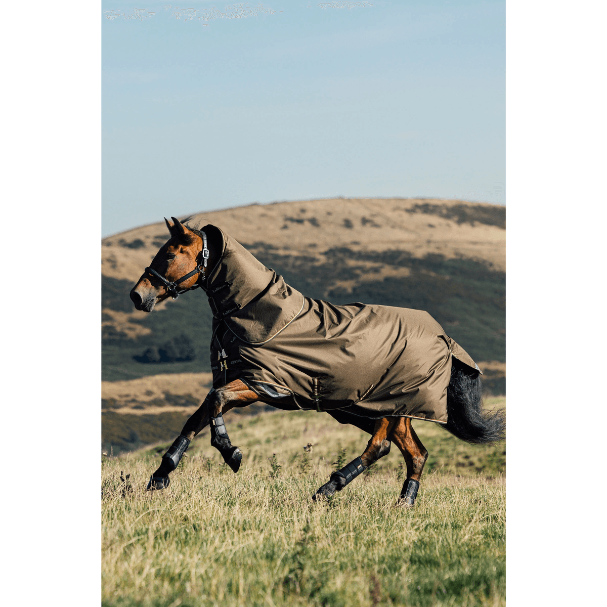 LeMieux Arika Ripstop Turnout Rug With Detachable Neck, 0 g