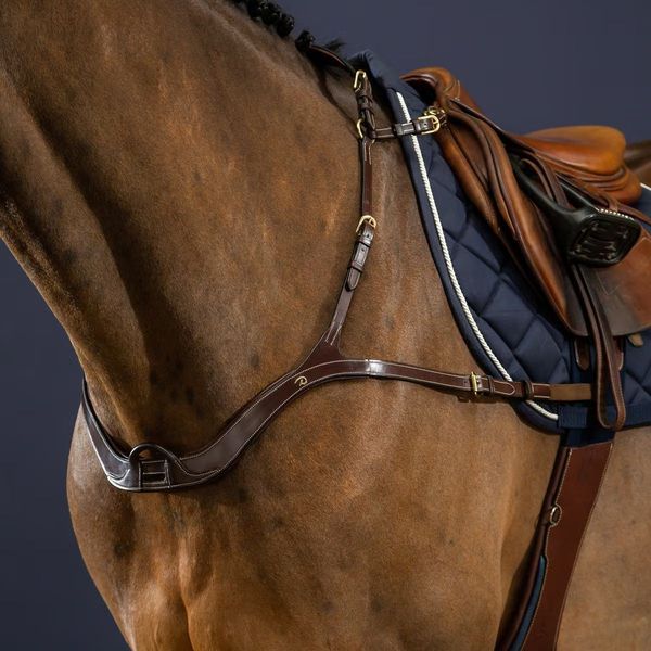 Hovedbilde Dy'on D Collection Anatomical Breastplate
