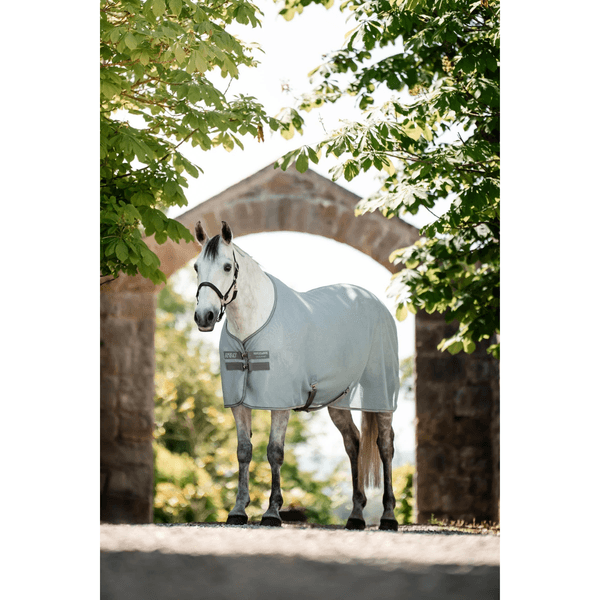 Hovedbilde Amigo Airnet Cooler
