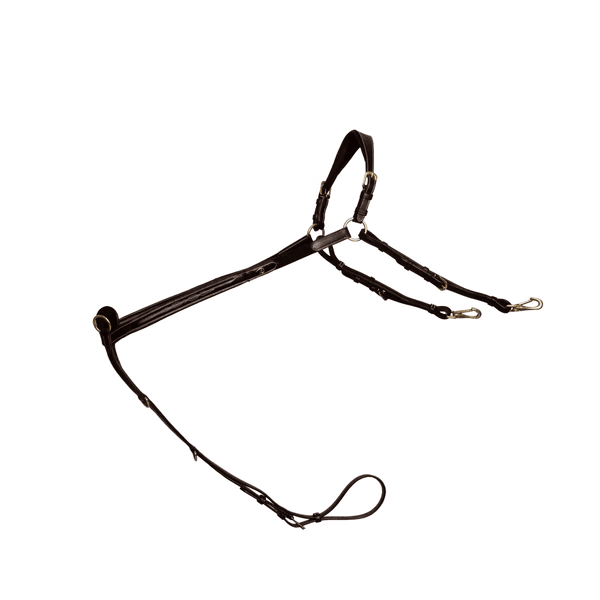 Hovedbilde Dyon Bridge Breastplate D Collection