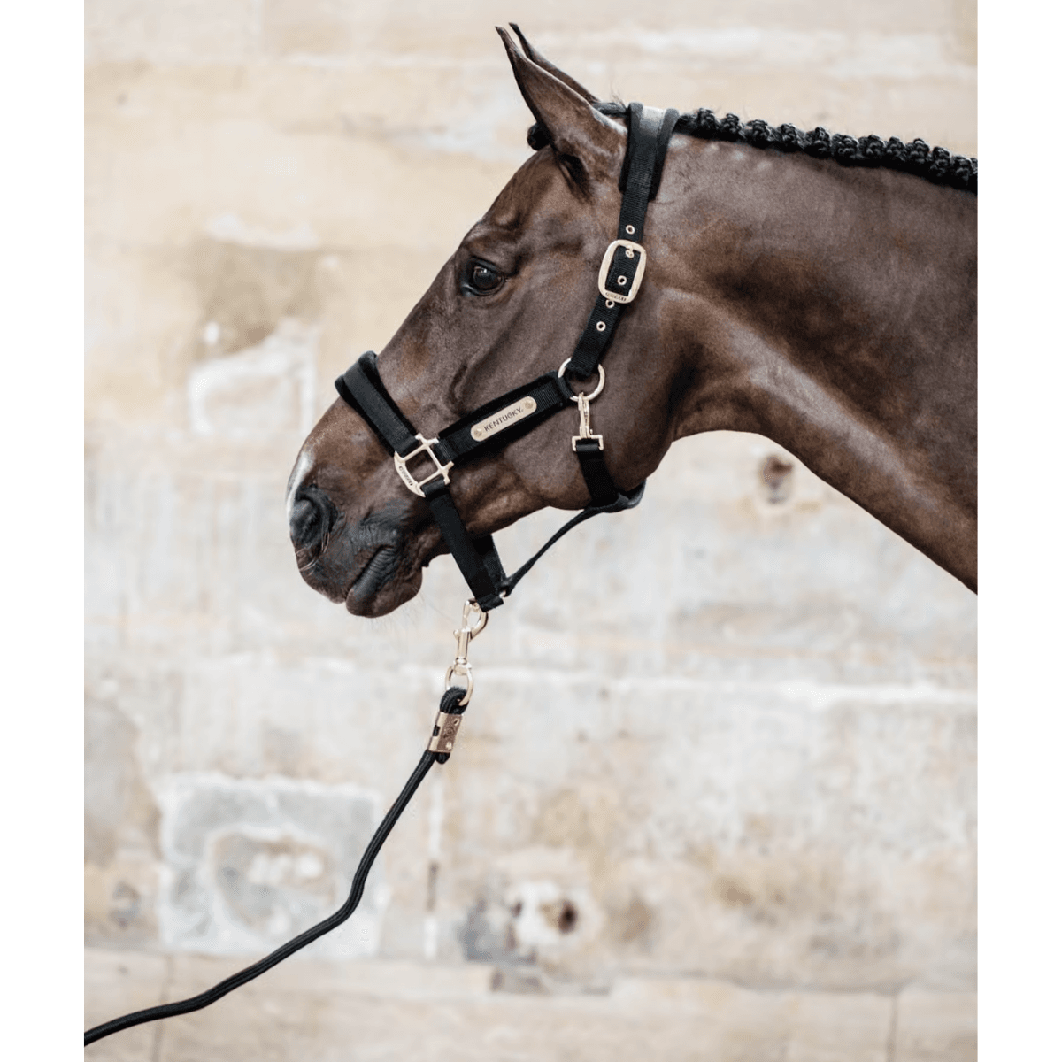 Kentucky Velvet Halter