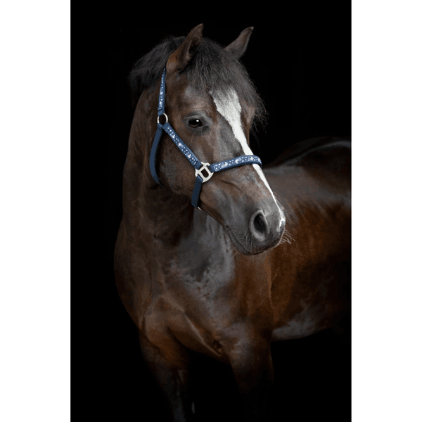 Hovedbilde Horse Guard Fantasy-grime