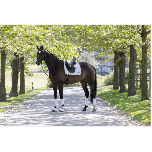 Hovedbilde KLLexie Dressage Saddle Pad - White