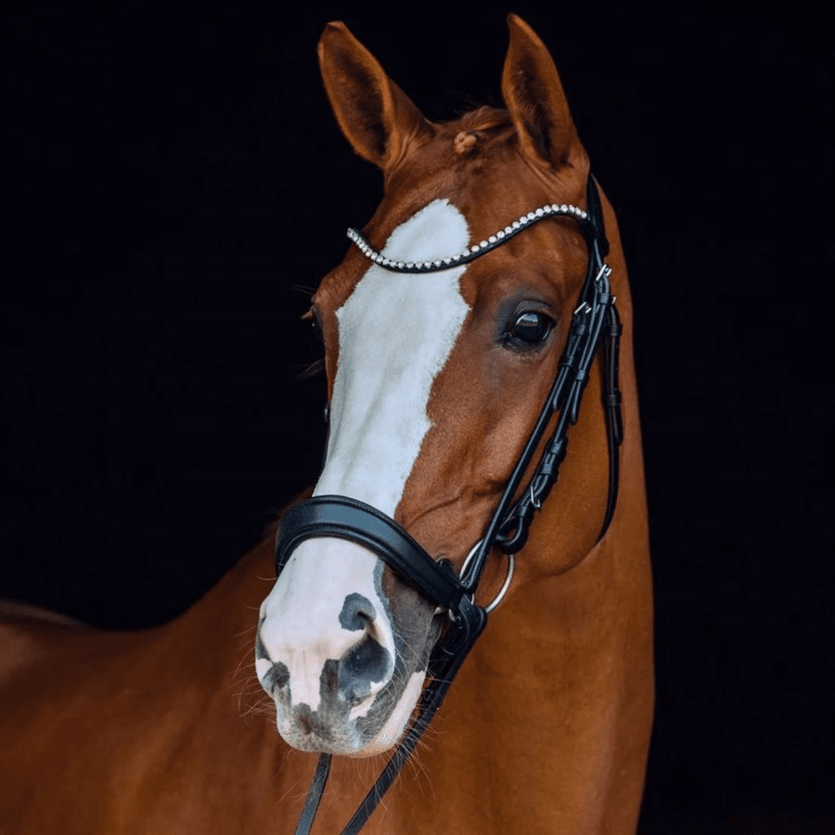 Horze Positano Anatomic Hannover Bridle